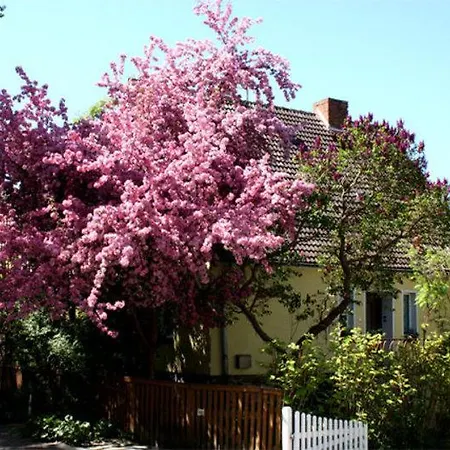 Ferienwohnung Waren See 7351 וארן